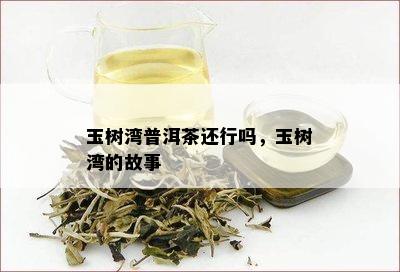 玉树湾普洱茶还行吗，玉树湾的故事