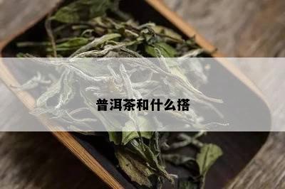 普洱茶和什么搭