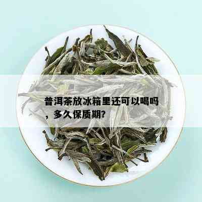 普洱茶放冰箱里还可以喝吗，多久保质期？