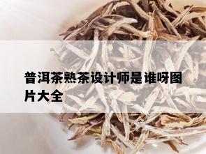 普洱茶熟茶设计师是谁呀图片大全