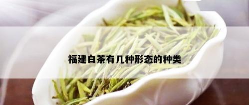 福建白茶有几种形态的种类