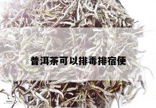 普洱茶可以排排宿便