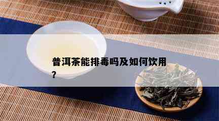 普洱茶能排吗及如何饮用？