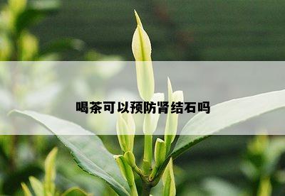 喝茶可以预防肾结石吗