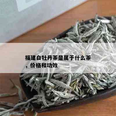 福建白牡丹茶是属于什么茶，价格和功效