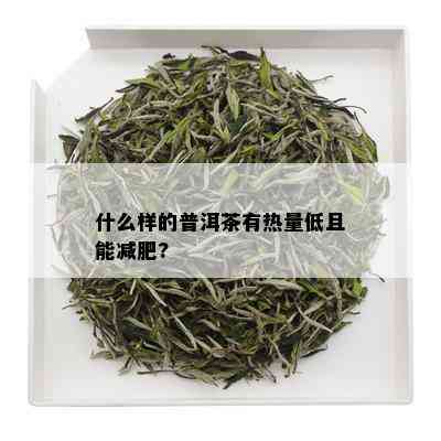 什么样的普洱茶有热量低且能减肥?