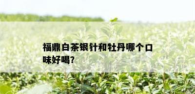 福鼎白茶银针和牡丹哪个口味好喝？