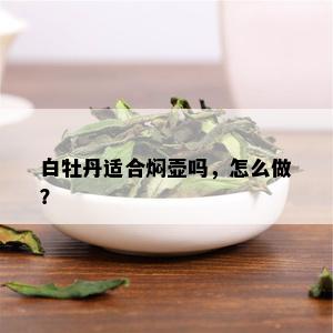 白牡丹适合焖壶吗，怎么做？