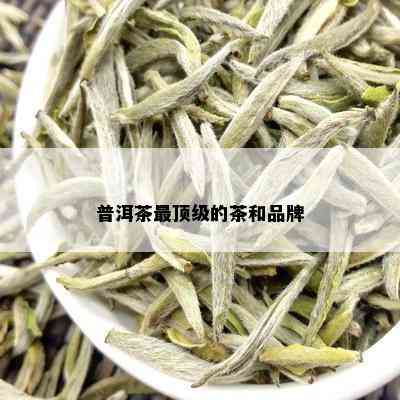 普洱茶最顶级的茶和品牌