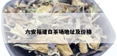 六安福建白茶场地址及价格