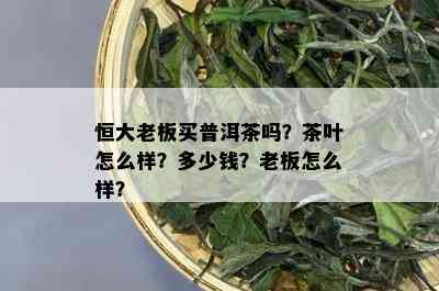 恒大老板买普洱茶吗？茶叶怎么样？多少钱？老板怎么样？