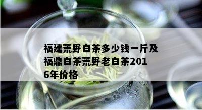 福建荒野白茶多少钱一斤及福鼎白茶荒野老白茶2016年价格