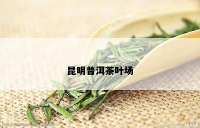 昆明普洱茶叶场