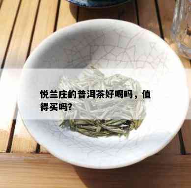 悦兰庄的普洱茶好喝吗，值得买吗？