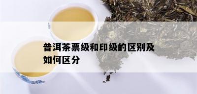 普洱茶票级和印级的区别及如何区分