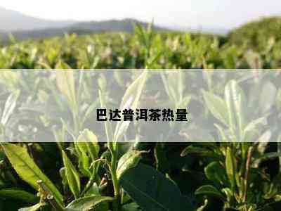 巴达普洱茶热量