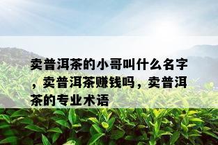 卖普洱茶的小哥叫什么名字，卖普洱茶赚钱吗，卖普洱茶的专业术语