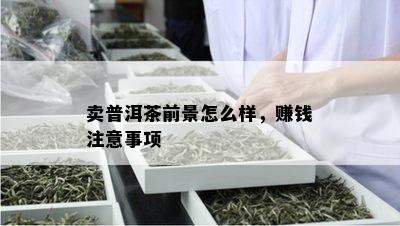 卖普洱茶前景怎么样，赚钱注意事项