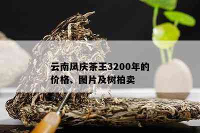 云南凤庆茶王3200年的价格、图片及树拍卖