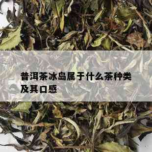 普洱茶冰岛属于什么茶种类及其口感