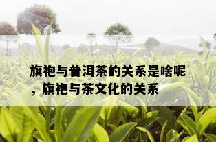 旗袍与普洱茶的关系是啥呢，旗袍与茶文化的关系