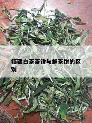 福建白茶茶饼与鲜茶饼的区别