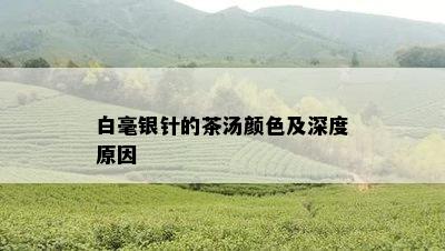 白毫银针的茶汤颜色及深度原因