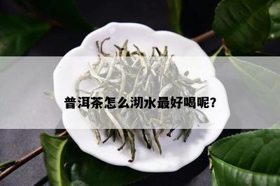 普洱茶怎么沏水更好喝呢？