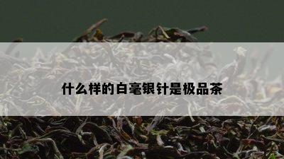 什么样的白毫银针是极品茶