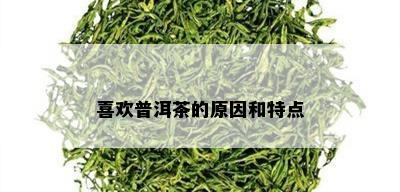 喜欢普洱茶的原因和特点