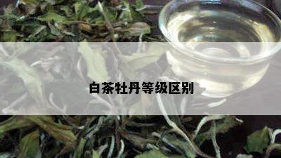 白茶牡丹等级区别