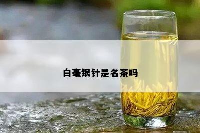 白毫银针是名茶吗