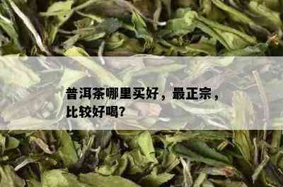 普洱茶哪里买好，最正宗，比较好喝？