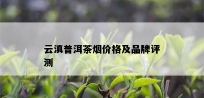 云滇普洱茶价格及品牌评测