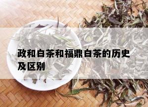 政和白茶和福鼎白茶的历史及区别