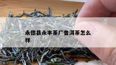 永德县永丰茶厂普洱茶怎么样