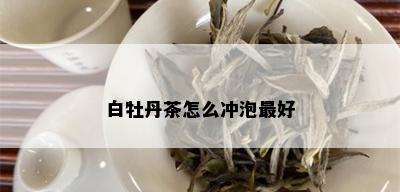 白牡丹茶怎么冲泡更好