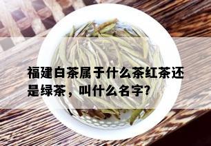 福建白茶属于什么茶红茶还是绿茶，叫什么名字？