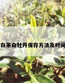 白茶白牡丹保存方法及时间