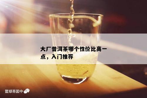 大厂普洱茶哪个性价比高一点，入门推荐