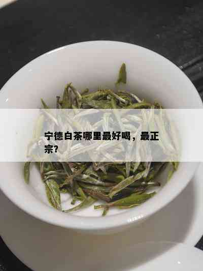 宁德白茶哪里更好喝，最正宗？