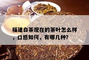 福建白茶现在的茶叶怎么样，口感如何，有哪几种？