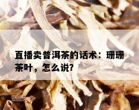 直播卖普洱茶的话术：珊珊茶叶，怎么说？