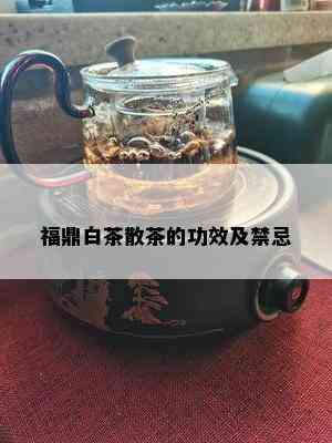 福鼎白茶散茶的功效及禁忌