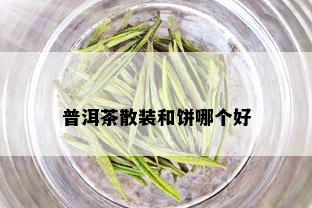 普洱茶散装和饼哪个好