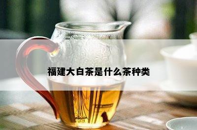 福建大白茶是什么茶种类