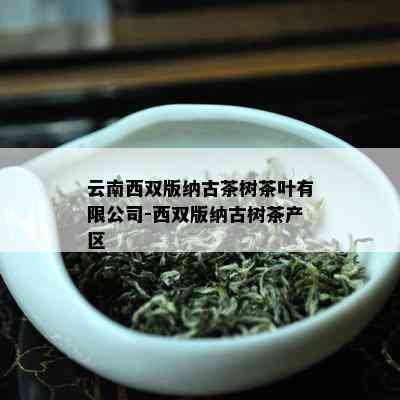 云南西双版纳古茶树茶叶有限公司-西双版纳古树茶产区