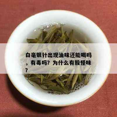 白毫银针出现油味还能喝吗，有吗？为什么有股怪味？