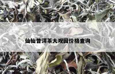 仙仙普洱茶大观园价格查询