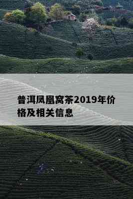 普洱凤凰窝茶2019年价格及相关信息